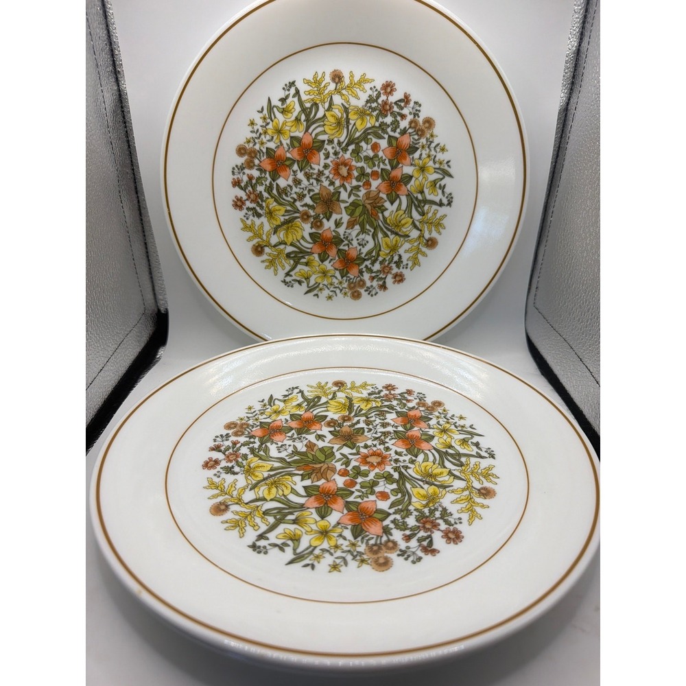 4 Corning Ware Corelle Indian Summer Dinner Plate 10" D
